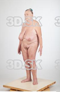 Body texture of Shelia 0014